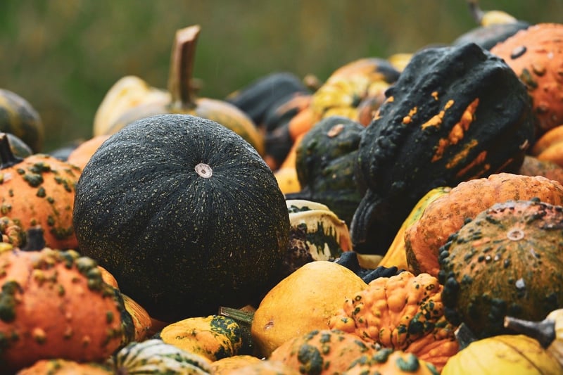 Seasonal Produce